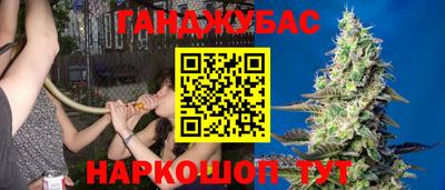 крисы Среднеуральск