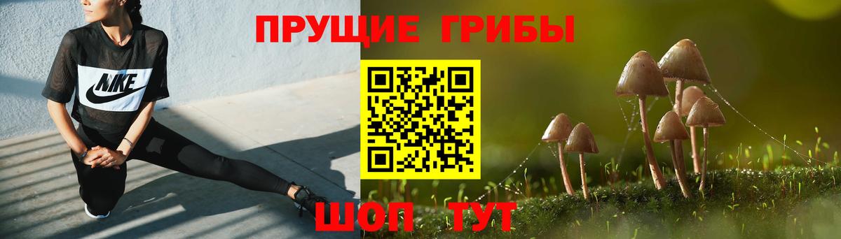 Псилоцибиновые грибы MAGIC MUSHROOMS  Псилоцибиновые грибы MAGIC MUSHROOMS  Вход с VPN  Острогожск 